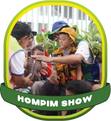 show images