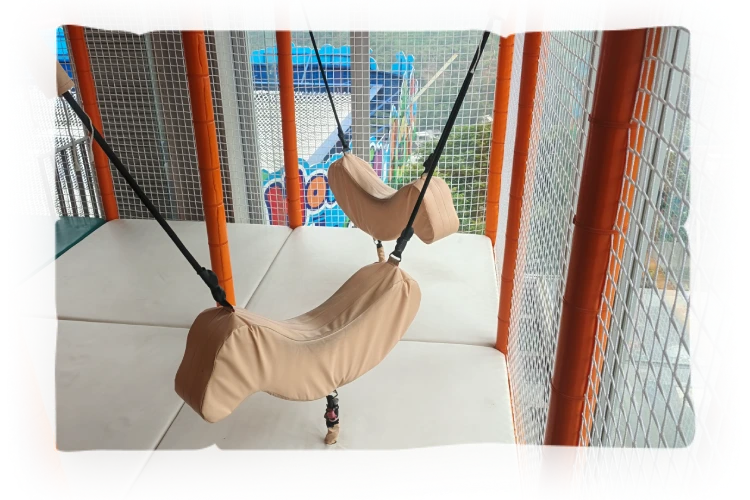 Swing