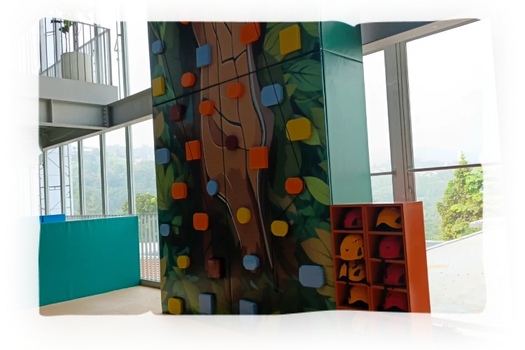 Wall Climbing