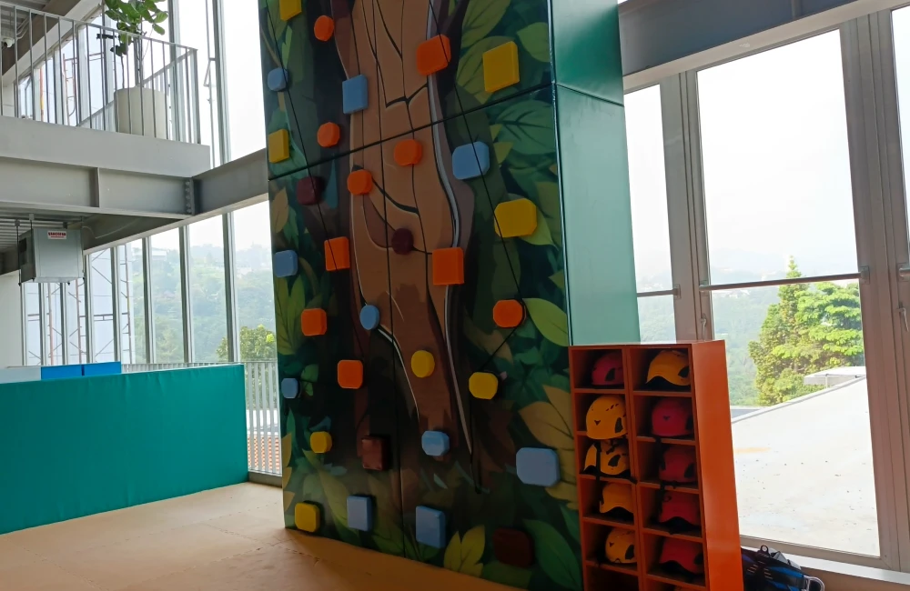 Wall Climbing